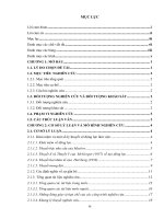 Phân tích các nhân tố ảnh hưởng đến mức độ gắn bó công việc của công nhân viên tại công ty cổ phần thủy sản Bến Tre