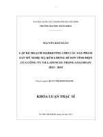 Lập kế hoạch marketing cho các sản phẩm sắt mỹ nghệ mạ kẽm chống gỉ sơn tĩnh điện của công ty villafences trong giai đoạn 2013 2015  