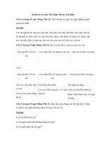 Bài tập luyện từ và câu – Tiếng Việt 3