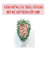 Tư liệu bài giảng môn Toán tham gia hội thi giáo viên giỏi các cấp