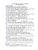 Đề cương ôn tập giữa HK1 môn Lịch sử 8 năm 2020-2021 - Trường THCS Phước Nguyên