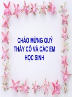 Tư liệu bài giảng môn Sinh học tham gia hội thi giáo viên giỏi các cấp