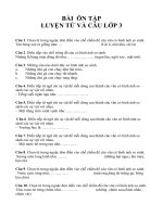 Bài tập ôn luyện từ và câu    lớp 3 năm học 2020 2021