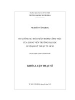 Đo lường sự thỏa mãn trong công việc của giảng viên trường đại học sư phạm kỹ thuật tp  hồ chí minh  