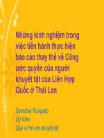 Tài liệu Hội thảo “Kế hoạch xây dựng báo cáo giám sát việc thực thi Công ước của Liên Hiệp Quốc về Quyền của người khuyết tật tại Việt Nam”