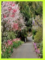 bai giang dien tu mon am nhac