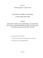 Sống thử và hành vi quan hệ tình dục an toàn trong sống thử của sinh viên trường đại học y tế công cộng và trường đại học mỏ   địa chất năm 2018 