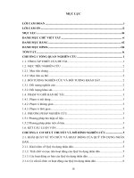 Các nhân tố ảnh hưởng đến tăng trưởng tín dụng của quỹ tín dụng Nhân dân trên địa bàn tỉnh Trà Vinh