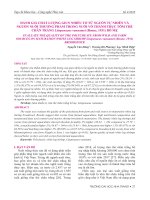 Đánh giá chất lượng giun nhiều tơ từ nguồn tự nhiên và nguồn nuôi thương phẩm trong nuôi vỗ thành thục tôm thẻ chân trắng Litopenaeus vannamei (Boone, 1931) bố mẹ
