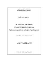Hệ thống giá trị cá nhân của người tiêu dùng việt nam  nghiên cứu trong ngành dịch vụ du lịch và ngân hàng bán lẻ  