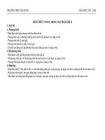 Đề cương ôn tập HK2 môn Toán 8 năm 2019-2020 - Trường THCS Tân Hưng