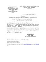 Mẫu tờ trình đề nghị xét tặng danh hiệu nghệ nhân nhân dân, nghệ nhân ưu tú