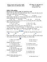 Đề cương ôn tập HK1 môn Tin học 7 năm 2020-2021 - Trường THCS Nguyễn Đức Cảnh
