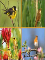 bai giang dien tu mon am nhac