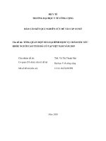 Tổng quan một số loại hình dịch vụ chăm sóc sức khỏe người cao tuổi đã có ở việt nam năm 2019 