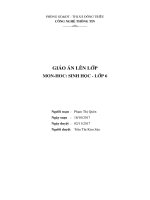 Bài 16: Cấu tạo trong của thân non