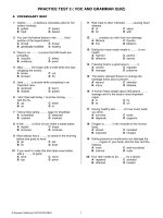 (AV) PRACTICE TEST 2 (VOC+GRAMMAR QUIZ)