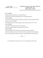 Đề thi giữa kì 1 Địa lí 10 năm học 2020 – 2021