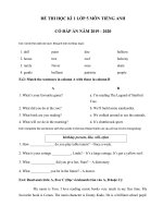 Đề thi học kì 1 lớp 5 môn Tiếng Anh