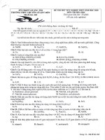 Đề và hướng dẫn chấm - Kỳ thi thử Tốt nghiệp THPT năm 2020