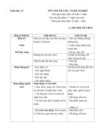 KHPH tuần 12: Một số nghề phổ biến quen thuộc