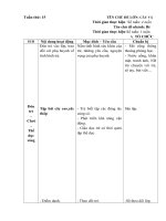 Giao an cay va nhung bong hoa dep tuan 4