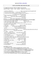 Tải Bài tập tiếng Anh lớp 8 Unit 8 - Bài tập tiếng Anh lớp 8 Unit 8: Country Life and City Life