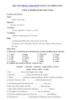 Tải Bài tập nâng cao tiếng Anh lớp 8 Unit 3 Peoples Of Viet Nam - Ôn tập tiếng Anh 8 mới theo từng Unit có đáp án