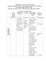 Giáo án chủ đề mùa hè nhánh 1: Thời tiết mùa hè