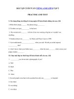 Tải Bài tập cuối tuần Tiếng Anh 8 tập 2 tuần 33 Practise And Test - Ôn tập Tiếng Anh lớp 8 có đáp án