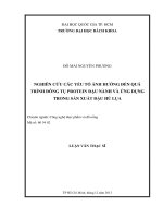 Nghiên cứu các yếu tố ảnh hưởng quá trình đông tụ protein đậu nành và ứng dụng trong sản xuất đậu phụ lụa  