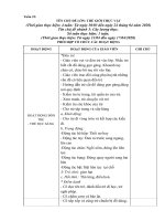 giáo án phụ tuần 23 cây lương thực