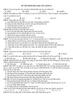 đề cương ôn tập và đề kiểm tra hk1 minh họa liên tục