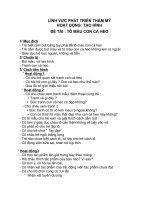 ĐỀ TÀI TÔ MÀU CON CÁ HEO