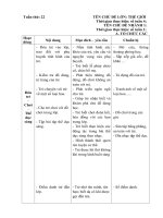 Kế hoạch giáo dục tuần 22 (Năm học 2017- 2018)