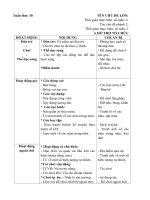 GA phụ 30 Các hiện tượng tự nhiên