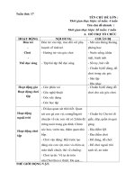 GA PHỤ ( TUẦN 17)