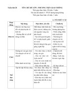 giáo án tuần 28: Phương tiện giao thông đường hàng không