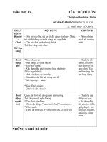 GA phụ tuần 13 CĐ nhũng nghề bé biết nhánh 2 cssk