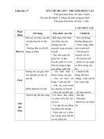 Giáo án tuần 17 ( Năm học 2017-2018) Động vật nuôi trong gia đình