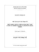 Điều khiển nhúng thích nghi trực tiếp cánh tay robot hai bậc tự do dùng mạng nơron  