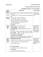 chủ đề cây xanh và môi trường tuần thứ 20