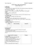 Giáo án tiếng anh lớp 5 tuần 13 Unit 8 What are you reading