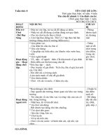 chủ đề : Gia Đình : Nhánh 1: Gia đình của bé