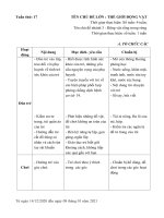 KH Tuần 17(2020-2021) Động vật sống trong rừng