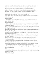 CÂU hỏi và đáp án THI GIÁO VIÊN TỔNG PHỤ TRÁCH đội GIỎI 