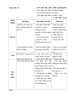 Kế hoạch giáo dục tuần 21: Côn trùng năm học 2017-2018
