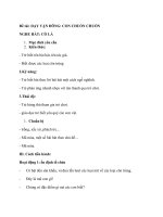 giao an de tai day van dong con chuon chuon