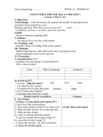 Giáo án tiếng anh Lớp 5 Tuần 14 Unit 9