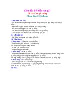 CON GÀ TRỐNG - CTHUONG